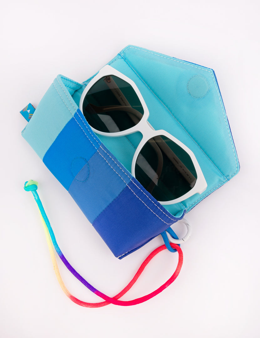 Blue Bird Sunglasses Case