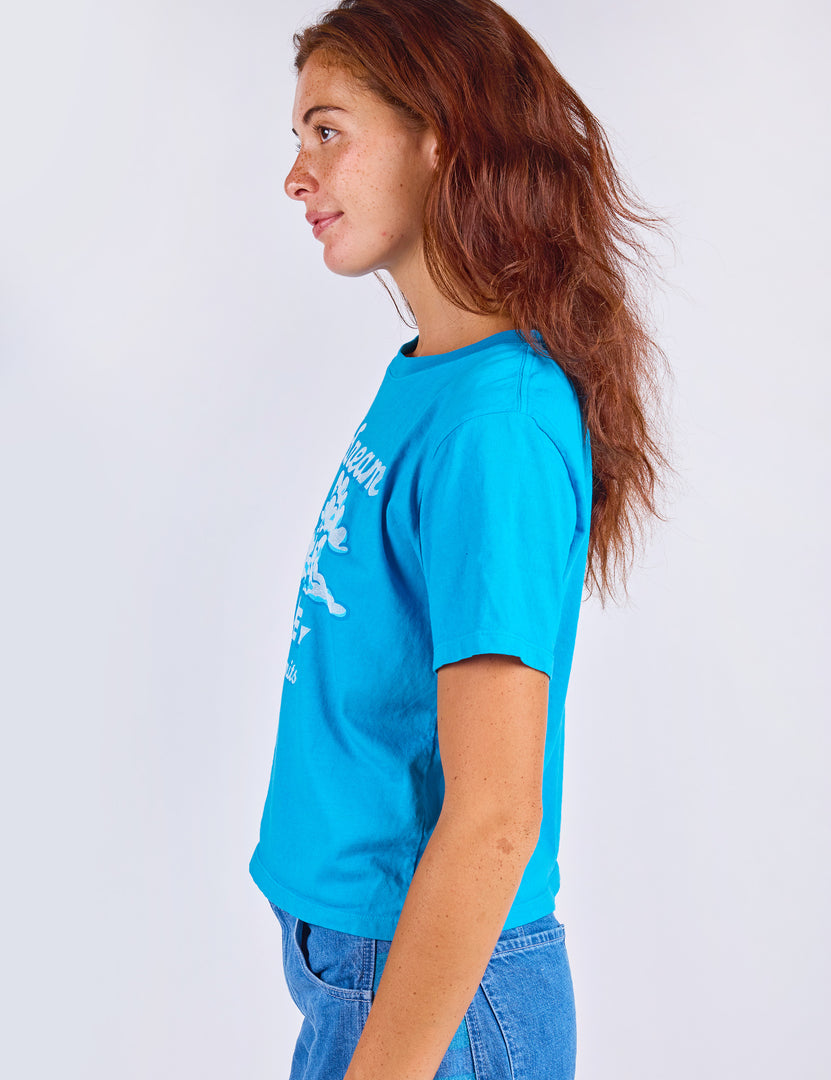 Daydream Academy Crop Tee