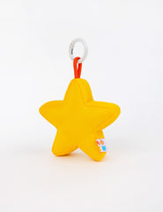 Marigold Star Charm