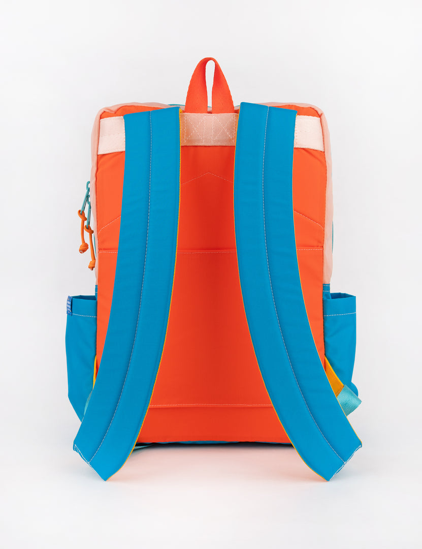 Tetra Flyer Backpack