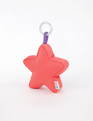 Watermelon Star Charm
